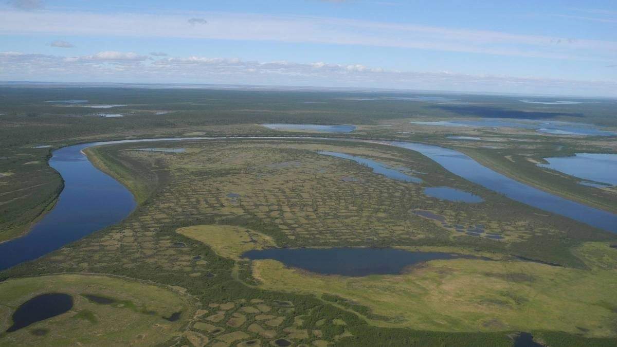 Foto aérea del bosque abierto del norte en la península de Taymyr, Siberia