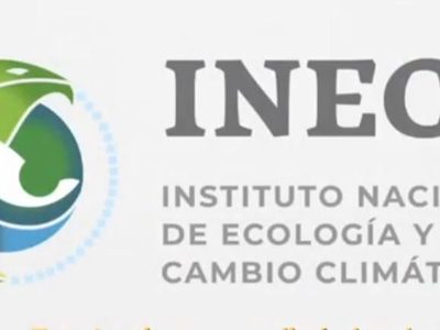 Tras evaluar 100 días de López Obrador, Greenpeace augura 'desastre climático”