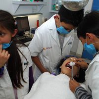 Alrededor del 50% de los menores en México presentan problemas bucales
