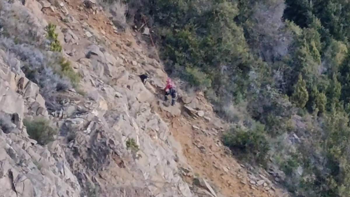 Bomberos acudió al rescate de un perro en San Martín de los Andes. Fuente: (Facebook)