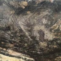 INAH confirma descubrimiento de pinturas rupestres en Tehuacán
