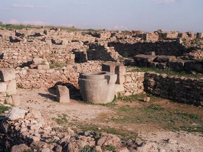 Descubren ruinas de una prensa que usaban los fenicios para hacer vino