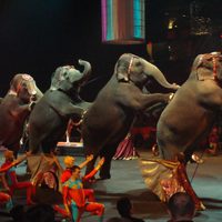 Francia prohibirá los animales salvajes en los circos ambulantes