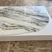 "Generalización" de Tania Pérez en el Museo Tamayo