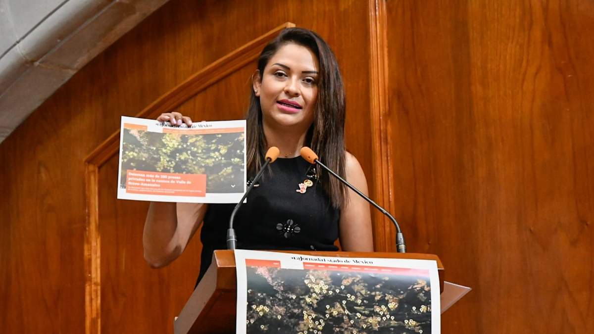 La legisladora Marisol Mercado