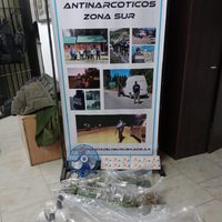 Fueron por una denuncia de violencia de género y terminaron secuestrando un kilo de marihuana