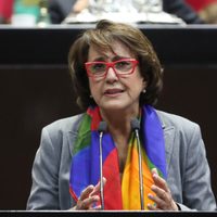 “Ley Silla” fue aprobada por unanimidad en la Cámara de Diputados. ¿En qué consiste?