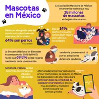 Tips a considerar antes de contratar un seguro de mascotas