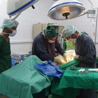 Reportan 50 personas muertas y 77 heridas tras atentado contra autobuses escolares en Yemen