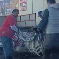 "No quisieron prestarles camilla": paciente llega a IMSS Zacatecas en cobija; Instituto se pronuncia