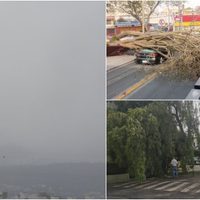 CDMX registra aire EXTREMADAMENTE malo y decenas de árboles caídos tras tolvanera