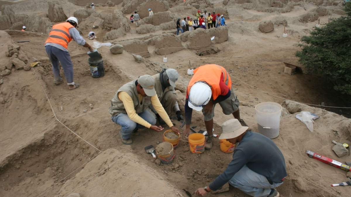 Los investigadores realizaron la expedición en una ciudad de Río Negro. Fuente: (Twitter)