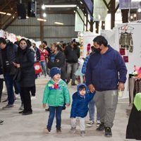 Cómo fue la séptima edición de Zapala Emprende