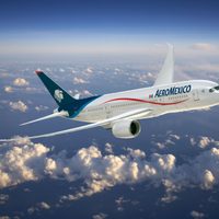Aeroméxico reducirá el 40% de los vuelos internacionales por el coronavirus