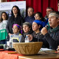 Comunidades mapuches denunciaron “cacería humana con armas letales” en Villa Mascardi