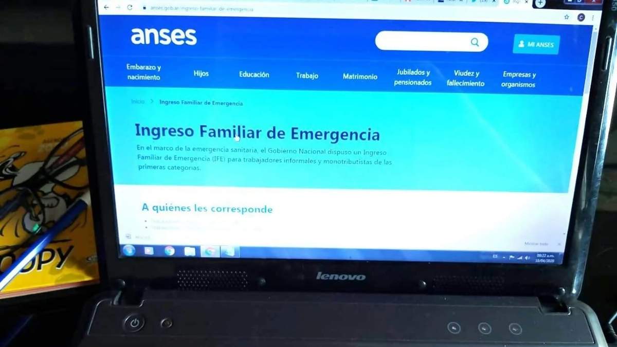 ANSES: IFE: Fuente: (Twitter)