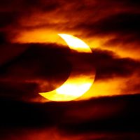 El eclipse total de sol incluye flor de sorpresa ¡Enterate cuál es!