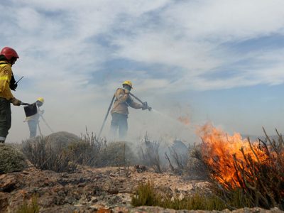 Continúa el incendio forestal en Aluminé: ya se perdieron 400 hectáreas