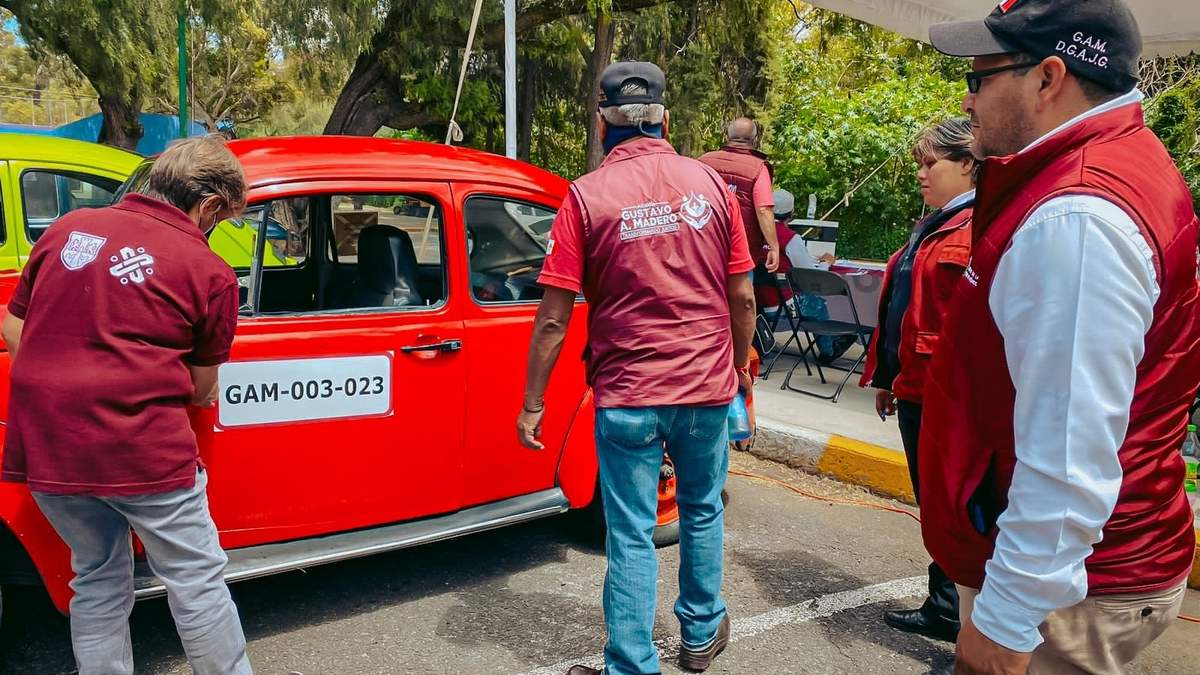 Los "Vochotaxis", a regularización en la GAM