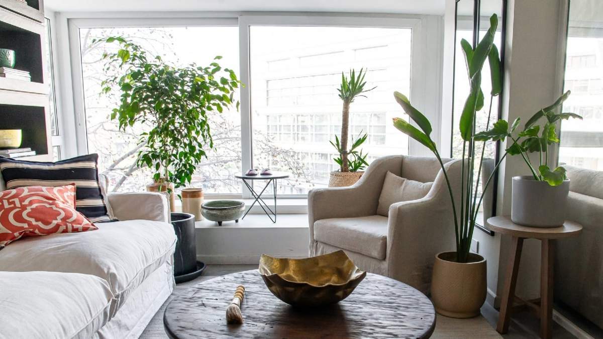 Planta. Fuente: (X)