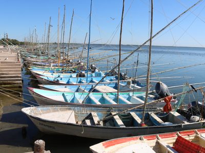 Covid-19 trastoca también al sector pesquero en países en desarrollo