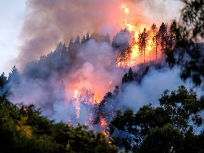 Por el incendio en el lago Steffen, cerraron el ingreso a El Manso y Villegas