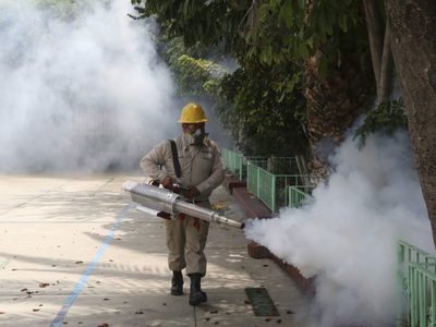 Oaxaca, séptimo lugar a nivel nacional con 709 casos confirmados de dengue, ya son tres defunciones