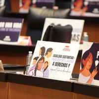 Senado aprueba por unanimidad reforma en materia de igualdad sustantiva