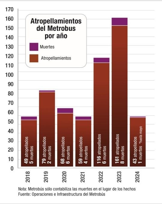 Atropellamientos año
