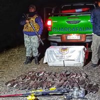 Incautaron truchas, codornices y leña en rutas de Neuquén