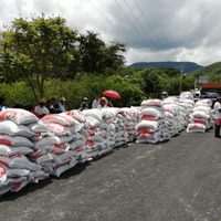 Campesinos saquean tráiler con fertilizante en Guerrero