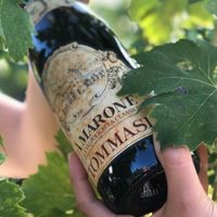 El vino italiano que perdura en la región de Verona