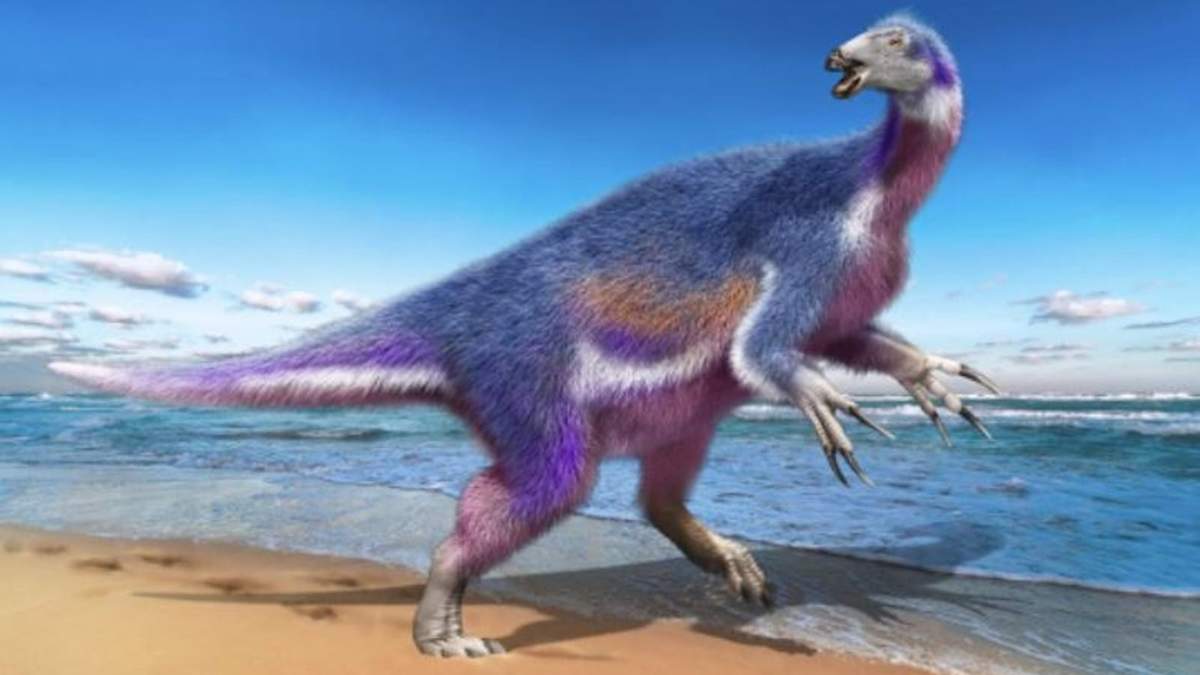La especie encontrada en Japón