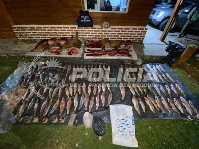 Villa la Angostura: hallaron una banda furtiva con 120 truchas ilegales y carne de ciervo en el auto