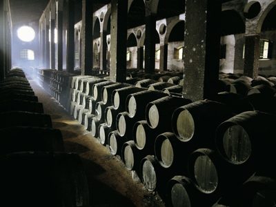 Grandes bodegas españolas buscan transmitir mensaje de esperanza