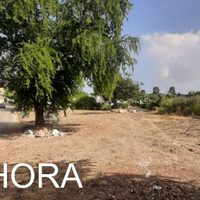 Rescata la PAUT predio en Tampico tras retiro de escombros y desechos