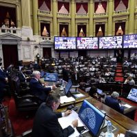 Después del insólito error, Diputados volvió a aprobar el Presupuesto 2021