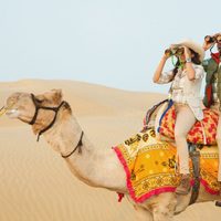 En Egipto, prohibirían los paseos en camellos para el turismo