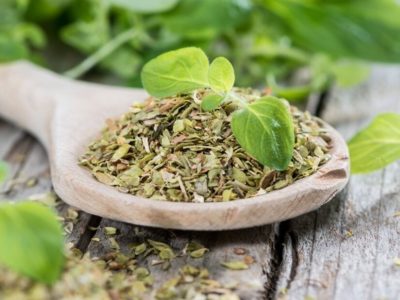 Orégano con limón: conocé el poder sanador que lograrás al mezclar ambos y sumarlos a tu dieta