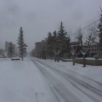 Ahora sí: el temporal de nieve llegó a Zapala