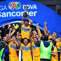Festejo de Tigres reunió a medio millón de aficionados