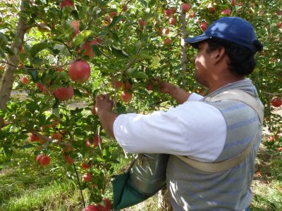 Proyecto de ley busca disminuir el impacto de eventos de fuerza mayor sobre las economías regionales