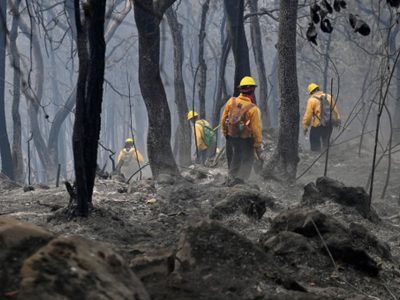El incendio en Tepoztlán ya ha consumido más de 234 hectáreas, reportan