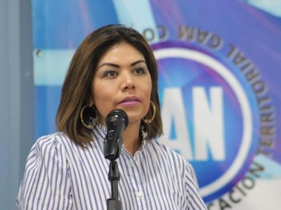 Panista presenta iniciativa para crear Ley de los Derechos de la Persona no Nacida