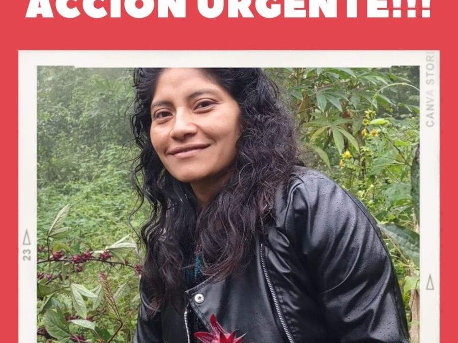 Patricia Pérez Gómez, activista de derechos indígenas desaparecida