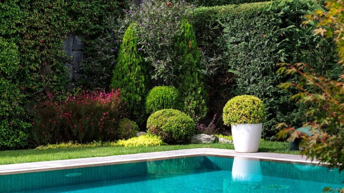 Plantas. Fuente: (Instagram).