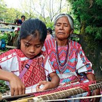 "Como narcotraficantes": indígenas sudamericanos presos en México por ayahuasca