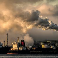 Más de la mitad de los jóvenes europeos creen que el cambio climático es el mayor desafío de la UE