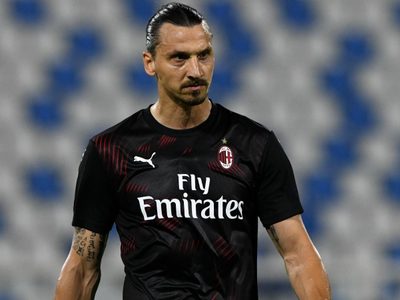 Zlatan Ibrahimovic: tremendas palabras contra el técnico de Suecia