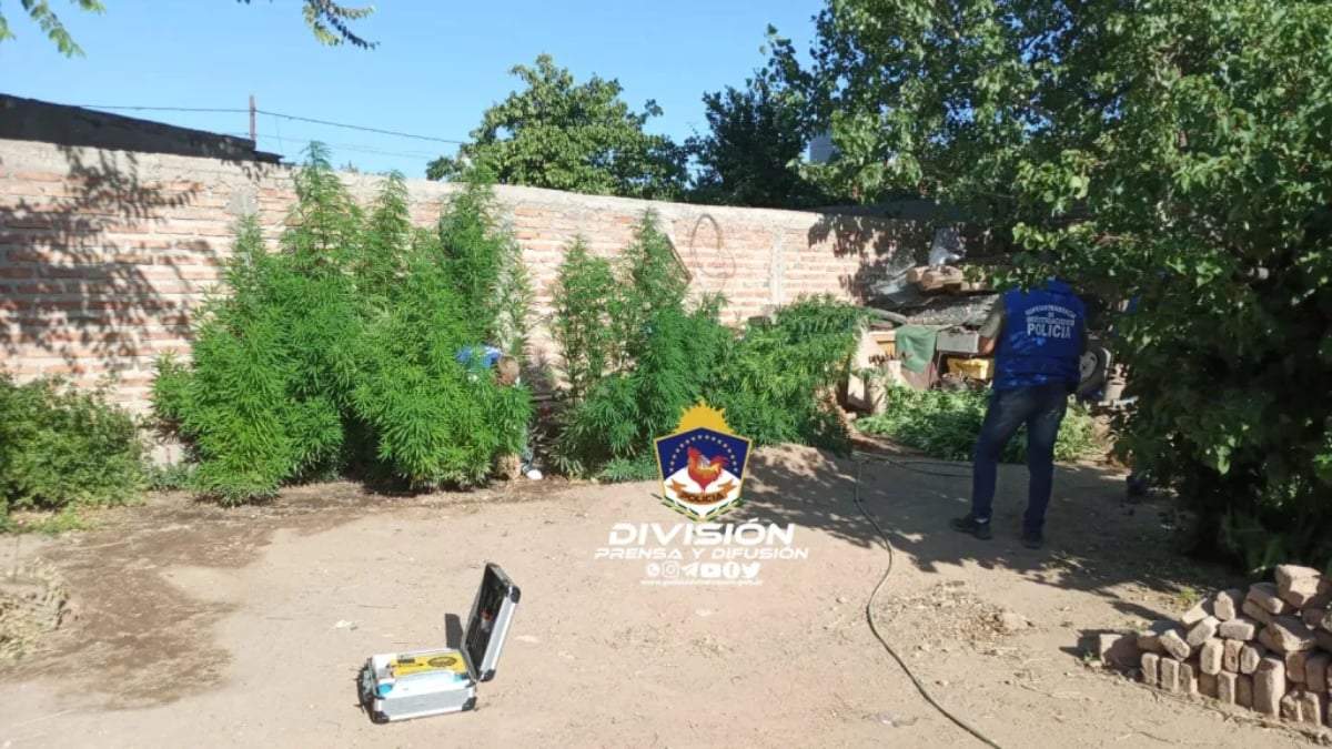 Se realizaron dos allanamientos en Cutral Co. Fuente: (Policía de Neuquén)